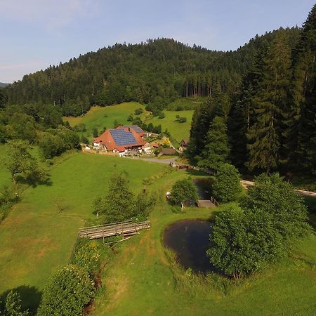 Apartament Muellerjoergenhof Gutach Zewnętrze zdjęcie