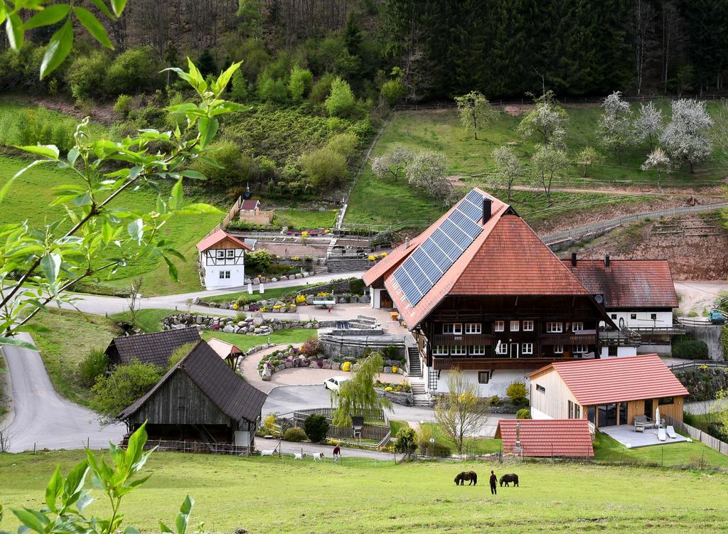 Apartament Muellerjoergenhof Gutach Zewnętrze zdjęcie