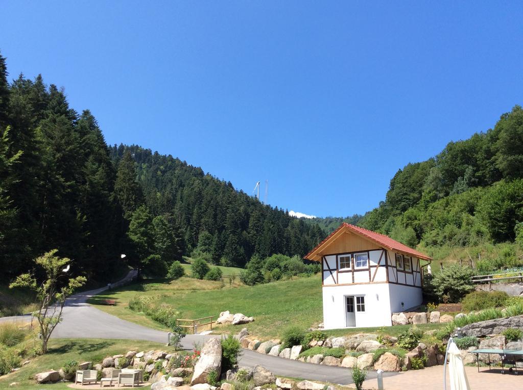 Apartament Muellerjoergenhof Gutach Zewnętrze zdjęcie